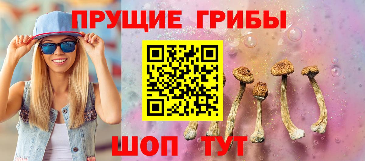 Ангарск  Галлюциногенные грибы Cubensis  Вход с VPN 